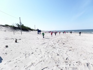 SAMSUNG CAMERA PICTURES