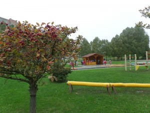SAMSUNG CAMERA PICTURES