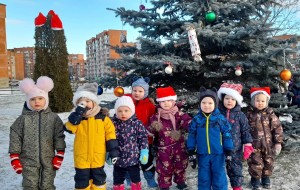 IMG_0638