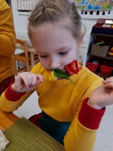 IMG_1428